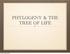 PHYLOGENY & THE TREE OF LIFE