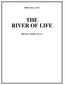 Bible Story 324 THE RIVER OF LIFE REVELATION 22:1-5