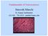 Fundamentals of Neurosciences. Smooth Muscle. Dr. Kumar Sambamurti 613-SEI; ;