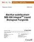 Bacillus subtilis strain MBI 600 Integral TM Liquid Biological Fungicide