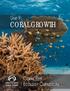 Unit 9: CORAL GROWTH. Coral Reef. Ecology Curriculum