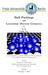 Ball Packings and. Lorentzian Discrete Geometry by. 陈浩 CHEN, Hao