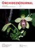 OrchideenJournal. Publisher: V.D.O.F. Vereinigung Deutscher Orchideenfreunde e.v. Vol Vanilla atropogon