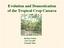 Evolution and Domestication of the Tropical Crop Cassava. Barbara Schaal Luiz Carvalho Kenneth Olsen