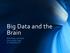 Big Data and the Brain G A L L A NT L A B