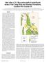 New sites of 3.1-Ma pumice beds in axial-fluvial strata of the Camp Rice and Palomas Formations, southern Rio Grande rift