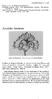 Arnoldia Reviews. Clayburg, Carl D New Streptocarpus Varieties. The Gloxinian