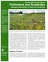 INVERTEBRATE CONSERVATION GUIDELINES Pollinators and Roadsides Managing Roadsides for Bees and Butterflies