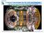 A Novel Calorimeter for HL-LHC and Beyond CMS Endcap High Granularity Calorimeter for Phase II