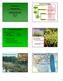 Plant Kingdom. Nonvascular Land Plants. Groups of Living Plants. Nonvascular Plants Mosses, Liverworts and Hornworts