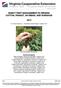 INSECT PEST MANAGEMENT IN VIRGINIA COTTON, PEANUT, SOYBEAN, AND SORGHUM