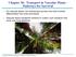 Chapter 36: Transport in Vascular Plants - Pathways for Survival