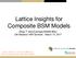 Lattice Insights for Composite BSM Models