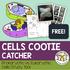 FREE! CELLS COOTIE CATCHER. Prokaryotic vs. Eukaryotic Cells Study Tool
