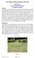 The Fairy Circle. Figure 1. Page 1 of 12. Fairy Rings and Psi-lines v8