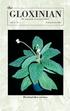 Rhytidophyllum exsertum