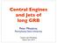 Central Engines and Jets of long GRB