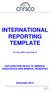 INTERNATIONAL REPORTING TEMPLATE