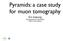 Pyramids: a case study for muon tomography. Éric Aubourg Astroparticule et Cosmologie CEA/U. Paris Diderot