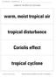 tropical disturbance Coriolis effect tropical cyclone