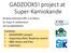 GADZOOKS! project at Super-Kamiokande
