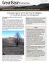Assessing Impacts of Fire and Post-fire Mitigation on Runoff and Erosion from Rangelands