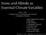 Snow and Albedo as Essential Climate Variables