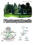 Grade 8 Unit L.4 - Photosynthesis