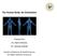 The Human Body: An Orientation