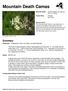 Mountain Death Camas. Summary. Protection Threatened in New York State, not listed federally.