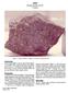 10003 Ilmenite Basalt (low K) 213 grams