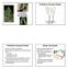Primitive Vascular Plants. Luscious Lycophytes. Primitive Vascular Plants. Early Life Cycles