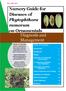 Nursery Guide for Diseases of Phytophthora ramorum on Ornamentals Diagnosis and Management