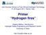 Primer Hydrogen fires