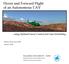 Hover and Forward Flight of an Autonomous UAV