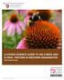 A CITIZEN SCIENCE GUIDE TO WILD BEES AND FLORAL VISITORS IN WESTERN WASHINGTON