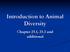 Introduction to Animal Diversity. Chapter 23.1, 23.2 and additional