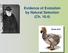 Evidence of Evolution by Natural Selection (Ch. 16.4) Dodo bird