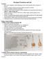 Titrations Worksheet and Lab