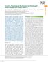 Genetics, Physiological Mechanisms and Breeding of Flood-Tolerant Rice (Oryza sativa L.)