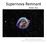 Supernova Remnant Kirsten Chan. Kepler s Supernova Remnant Photo Credit: NASA/CXC/NCSU/M.Burkey et al;