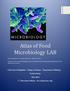 Atlas of Food Microbiology LAB