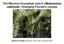 The Mexican bromeliad weevil (Metamasius callizona): Changing Florida s canopy. Teresa M. Cooper, Ronald D. Cave, and J.