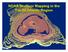 NOAA Seafloor Mapping in the Pacific Islands Region