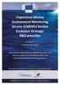 Copernicus Marine Environment Monitoring Service (CMEMS) Service Evolution Strategy: R&D priorities