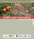 COOPERATIVE RESEARCH CENTRE FOR TROPICAL PLANT PROTECTION THRIPS AND TOSPOVIRUS A MANAGEMENT GUIDE