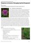 Part I Introduction to Spotted Knapweed