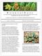 A newsletter dedicated to dispersing taxonomic and ecological information useful for plant identification and conservation in New England