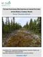 TESTING FUNCTIONAL RESTORATION OF LINEAR FEATURES PHASE I PROGRESS REPORT WITHIN BOREAL CARIBOU RANGE