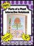 Parts of a Plant Interactive Notebook